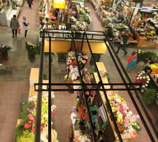 Hala Targowa Wrocław