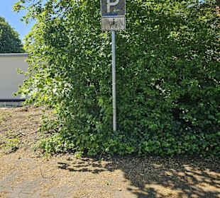 Parkplatz Hallenbad