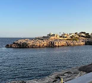 Wandern Porto Colom