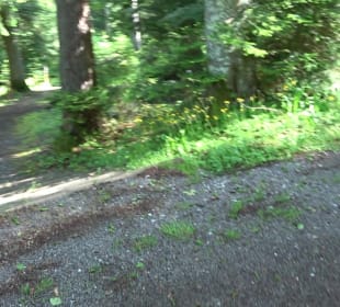 Waldfriedhof Altensteig