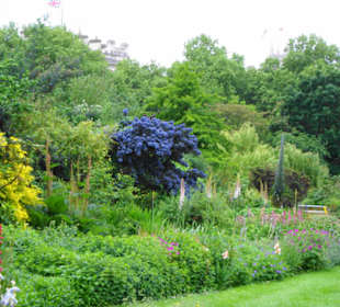 St. James´s Park Impressionen