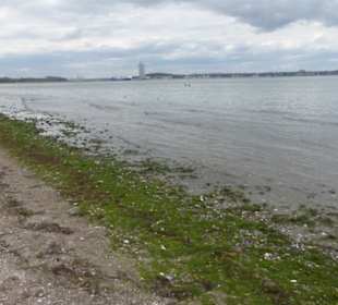 Am Naturstrand von Rosenhagen