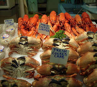 Frischer Lobster und Crabs