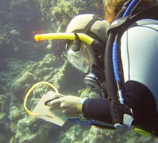 Un istruttrice al lavoro