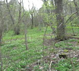 Höhle "Große Grotte"