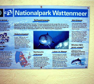 Die Erklärungen zum Nationalpark Wattenmeer!
