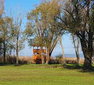 Wandern Balatonmariafürdö