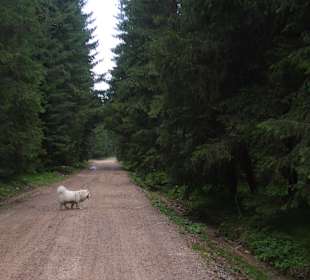 Parcul Natural Apuseni