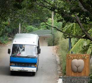 Bus auf Praslin (5 Rupes pro Fahrt und Person)