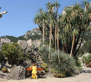 Jardin dÉxotique - Monaco