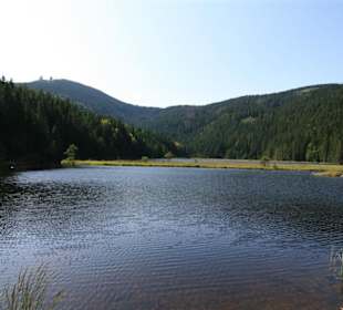 Kleiner Abersee in Lohberg