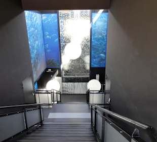 Zugang zum Kassenbereich des Aquariums