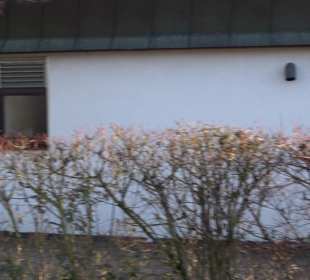 Egerthalle Raidwangen