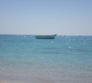 Die Insel "Paradise"