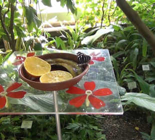 Botanischer Garten