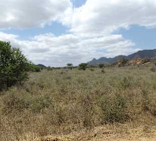 Tsavo West