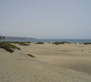 Hier geht´s zum Strand!