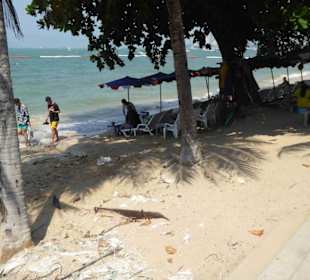 Beach höhe Royal Garden Plaza