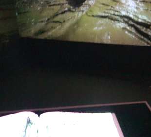 Naturparkzentrum Ruhestein