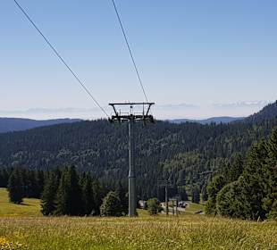 Wandern Feldberg