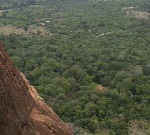 Blick auf den Dschungel