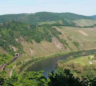 Wandern Alf an der Mosel