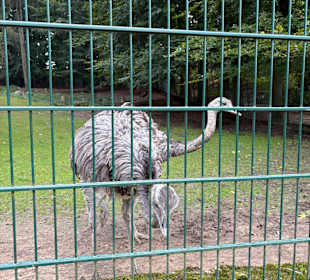 Alsdorf Zoo