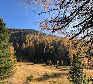 Wandern Turracher Höhe