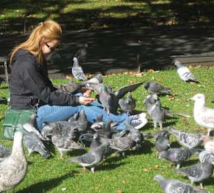 St. Stephens Green Park