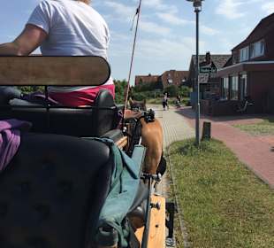 Kutschfahrt auf Juist