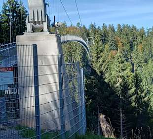 Wandern Bad Wildbad