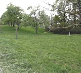 Wanderweg Firstwaldrunde