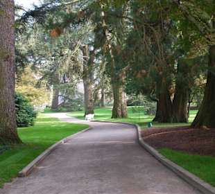 Der Herbst kündigt sich an!