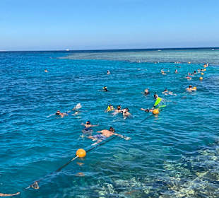 Schnorcheln Makadi Bay