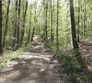 Wanderweg Firstwaldrunde