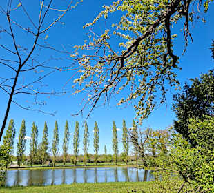 Gartenreich in Dessau-Wörlitz