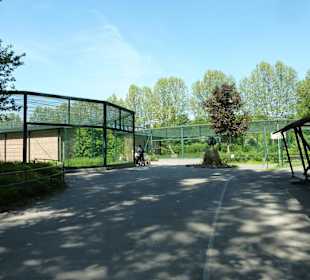Affenhaus mit Affendenkmal