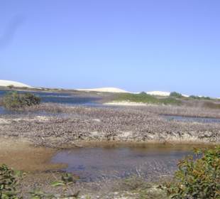 Buggy tour lagoa de paraiso