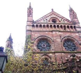 Das Straßburger Münster