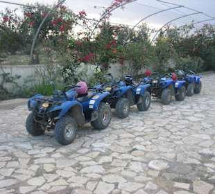 Quad-Tour