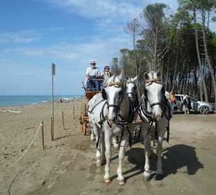 Durch den Naturschutzpark bei Alberese