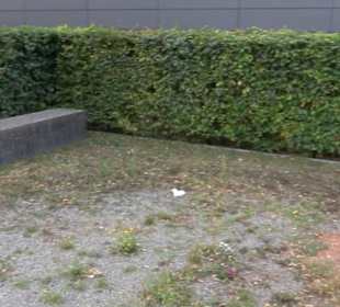 Ammertalhalle Gülstein