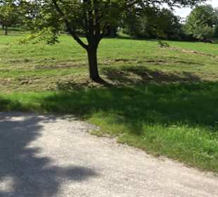 Hochgehnießen - Premiumspazierwanderweg