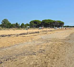 Hier kann man endlos laufen