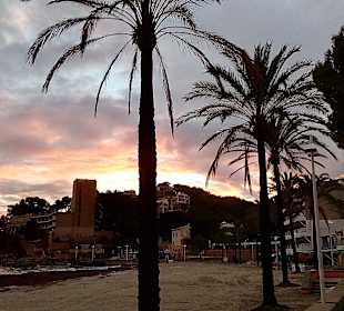 Strand Paguera/Peguera