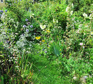 Impressionen aus dem Trostberger Rosengarten