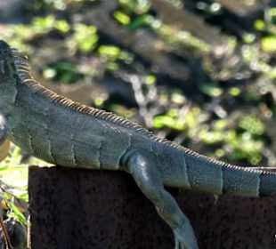 Relax Day Tour mit Federico. Eine kleine Auswahl