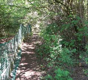Premiumwanderweg Hochgehschätzt