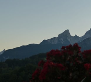 Restaurant Akropolis: Blick von der Terrasse