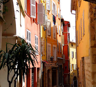 "Старый" Грасс.